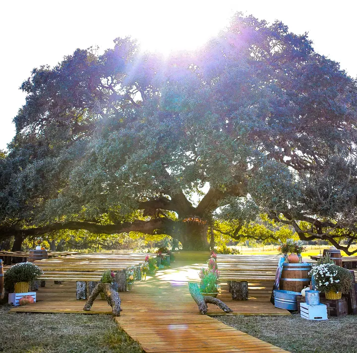 Wedding celebration at Twin Oaks Resort