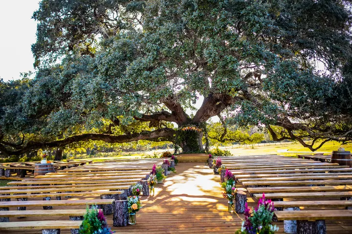 Wedding celebration at Twin Oaks Resort