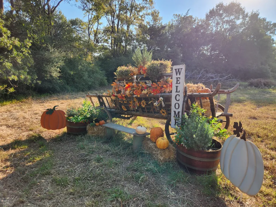 Seasonal decorations at the Twin Oaks entrance